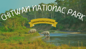 wisata Nepal 2025