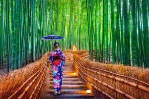 Aktivitas terbaik di Kyoto