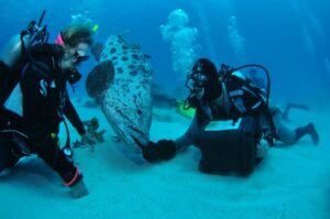 great barrier reef